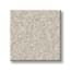 Brooklyn Bridge Biscotti Texture Carpet with Pet Perfect swatch