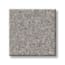 Brooklyn Bridge Trout Gray Texture Carpet with Pet Perfect swatch