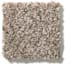 Long Beach Saddle Texture Carpet swatch