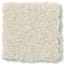 Newcomb Ridge Abalone Texture Carpet swatch