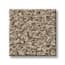 Portis Pass Coffee Texture Carpet swatch