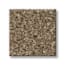 Portis Pass Butterscotch Texture Carpet swatch