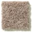 Pritchard Pass Sand Texture Carpet swatch