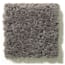 Pritchard Pass Warmth Texture Carpet swatch
