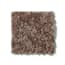 Graysdale Park Fox Texture Carpet swatch