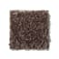 Graysdale Park Carob Texture Carpet swatch