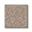Graysdale Path Bare Texture Carpet swatch