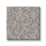 Graysdale Path Coin Texture Carpet swatch