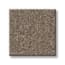 San Lucinda Bark Texture Carpet swatch