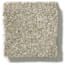 San Lucinda Cashew Texture Carpet swatch