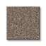 San Ignacio Bark Texture Carpet swatch