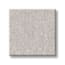 Flushing Bay Cloud Texture Carpet with Pet Perfect swatch