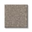 Little Neck Bay Reclaimed Texture Carpet with Pet Perfect swatch