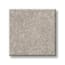 Little Neck Bay Moon Rock Texture Carpet with Pet Perfect swatch