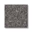 Astoria Park Coal Texture Carpet with Pet Perfect swatch