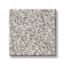 Kissena Park Flour Texture Carpet with Pet Perfect swatch