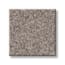Munsey Park Mink Texture Carpet with Pet Perfect swatch