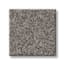 Munsey Park Basalt Texture Carpet with Pet Perfect swatch