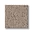 Bayside Hills Brush Pattern Carpet with Pet Perfect swatch