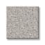 Montauk Point Cameo Texture Carpet with Pet Perfect swatch