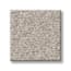 Montauk Point Warm Stone Texture Carpet with Pet Perfect swatch