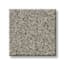 Gardiners Bay Cacao Texture Carpet with Pet Perfect+ swatch