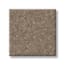 Manhasset Bay Mahogany Texture Carpet with Pet Perfect swatch