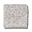 New Rochelle Goose Texture Carpet with Pet Perfect+ swatch
