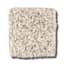 New Rochelle Creamer Texture Carpet with Pet Perfect+ swatch