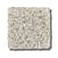 New Rochelle Blanche Texture Carpet with Pet Perfect+ swatch