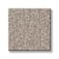 Lincoln Square Cracked Pepper Texture Carpet with Pet Plus swatch