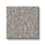 Lincoln Square Subtle Ash Texture Carpet with Pet Plus swatch