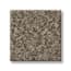 Timeless Trail Chipmunk Texture Carpet swatch