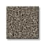 Timeless Trail Piney Woods Texture Carpet swatch
