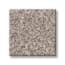 Secluded Cove Almond Texture Carpet swatch