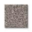 Secluded Cove Warm Taupe Texture Carpet swatch