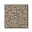 Shaw Battery Park Khaki Texture Carpet with Pet swatch