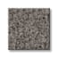 Shaw Battery Park Elephant Texture Carpet with Pet swatch