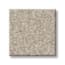 Shaw Battery Park Almond Texture Carpet with Pet swatch