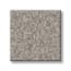 Shaw Battery Park Driftwood Texture Carpet with Pet swatch