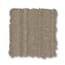 Liberty Island Brownstone Pattern Carpet with Pet swatch