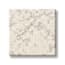Midtown Penthouse White Sands Pattern Carpet with Pet Plus swatch