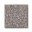 Distant Cove Driftwood Texture Carpet swatch