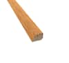 null Prefinished Somersworth Oak 3/4 in. Tall x 0.5 in. Wide x 6.5 ft. Length Shoe Molding