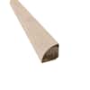 ReNature Prefinished Mesa Verde Bamboo 0.75 in. Wide x 72 in. Length T-Molding