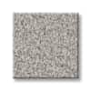 Shaw Hudson River Texture Carpet with Pet Perfect+