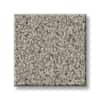 Shaw Smithtown Bay Texture Carpet with Pet Perfect+