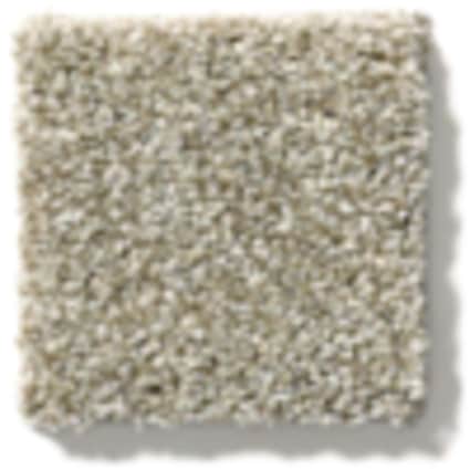 Shaw Huntington Beach Texture Carpet