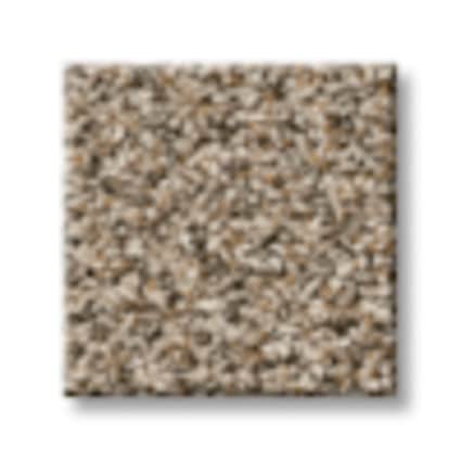 Shaw Portis Pass Texture Carpet