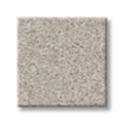 Shaw County Kent Texture Carpet